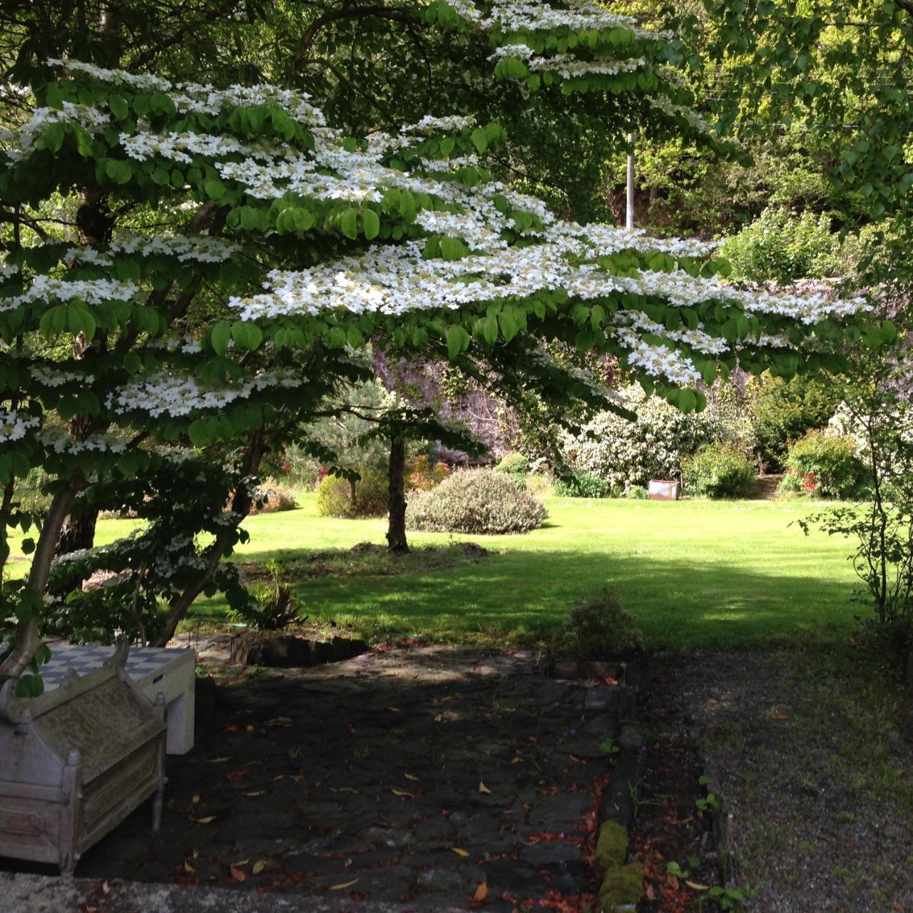 Borthwnog Hall Dolgellau Ngoại thất bức ảnh
